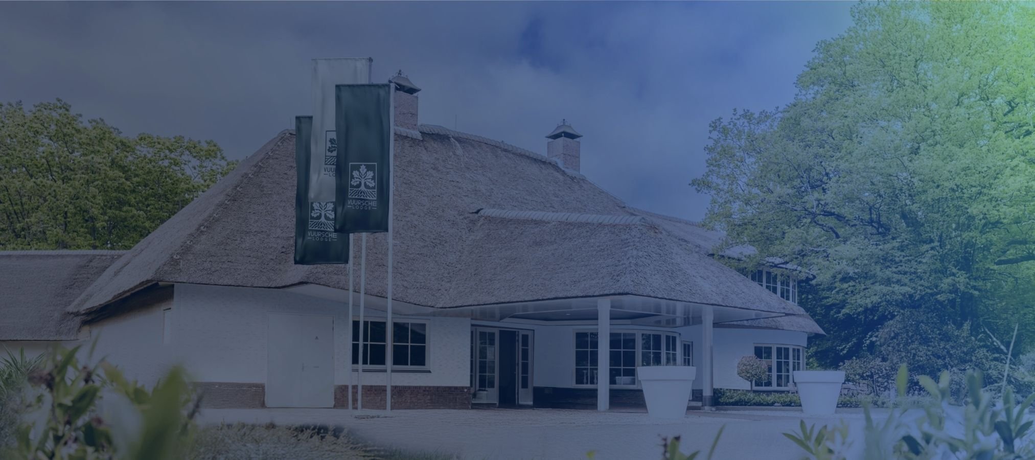 Ontwerp zonder titel (31)