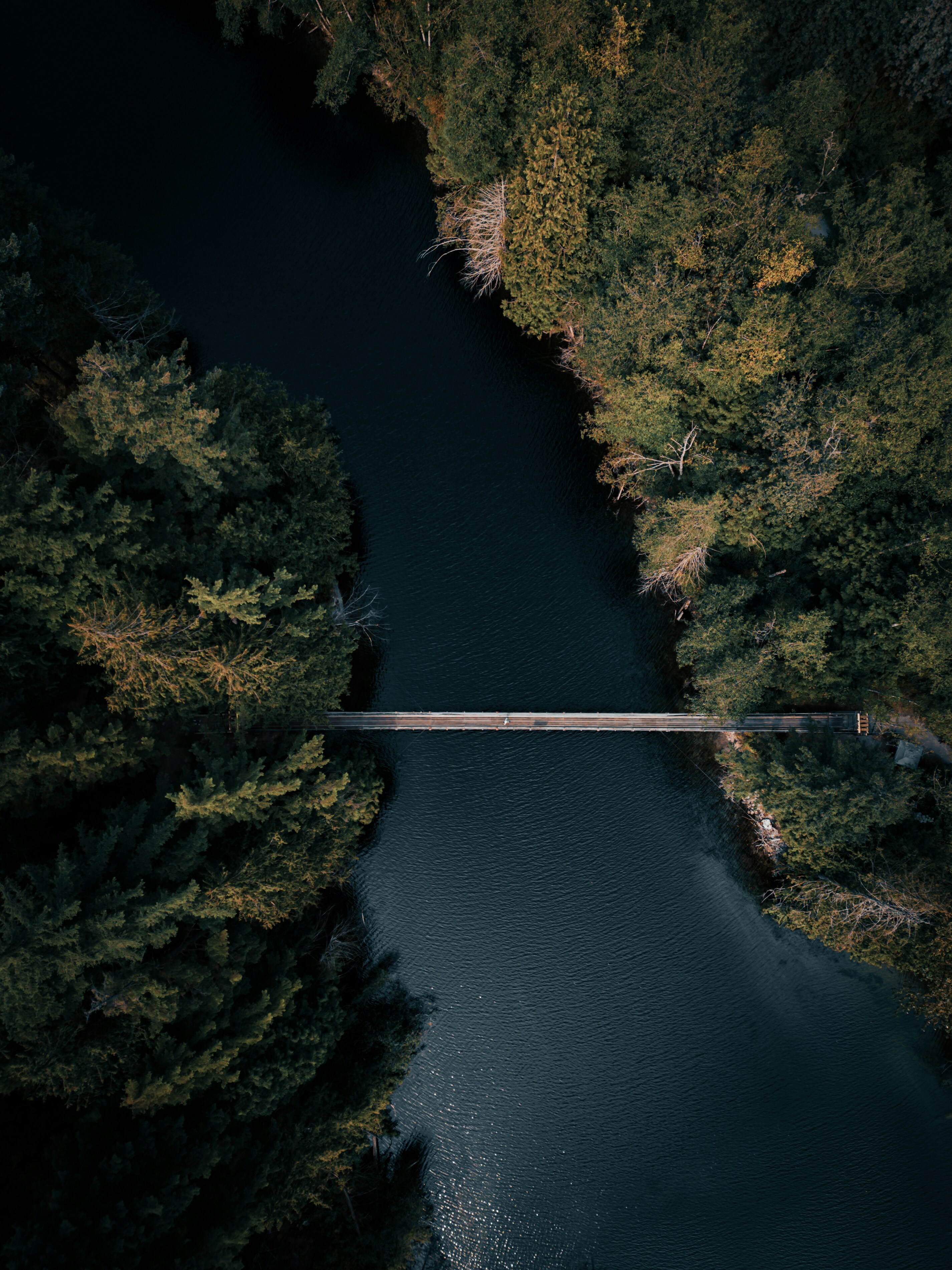 amanpreet-deol-CWXWGFXQaq4-unsplash