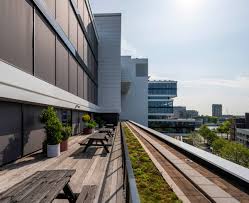 cityside amsterdam terrace