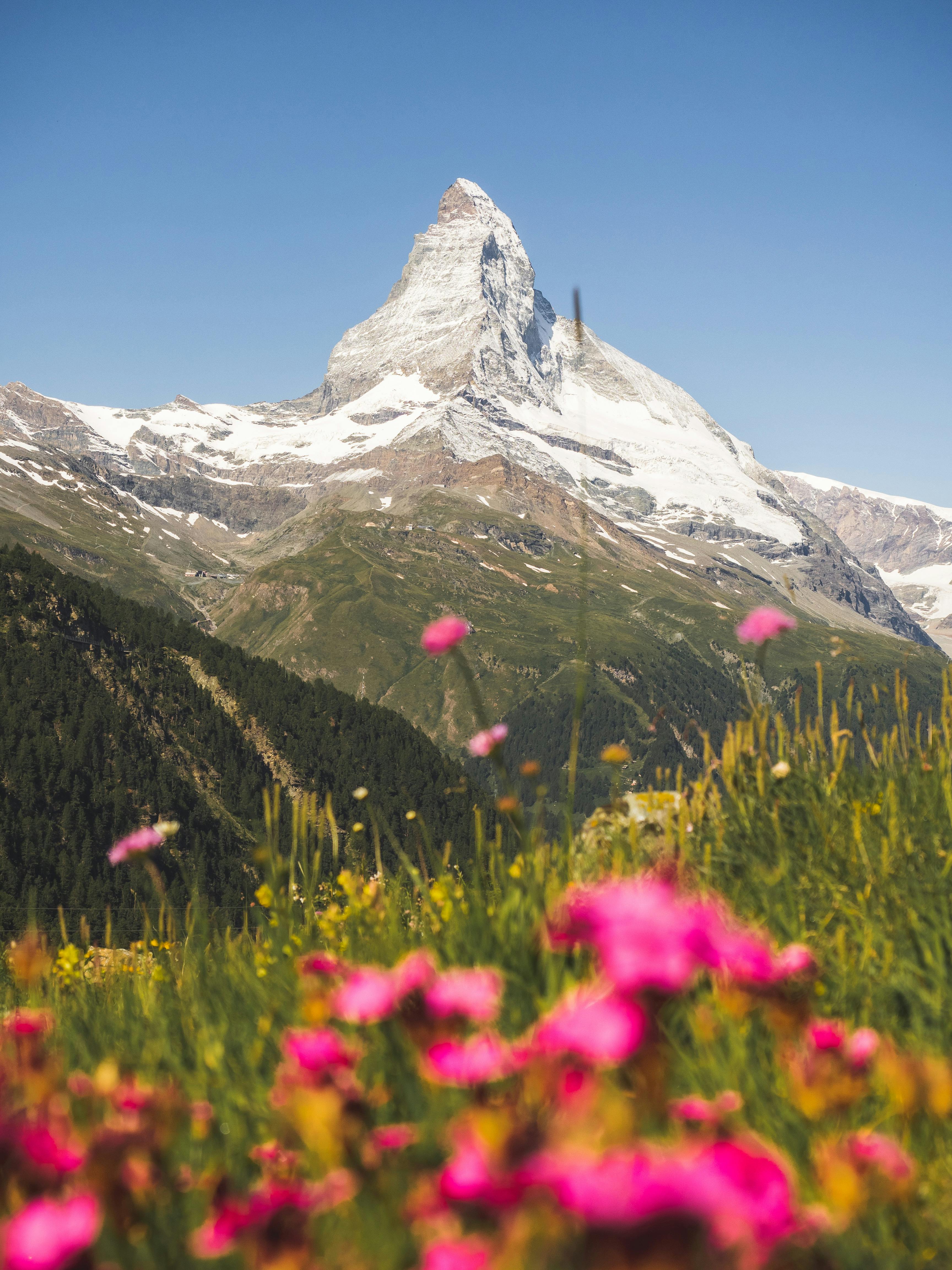 pexels-jordicosta-31469965