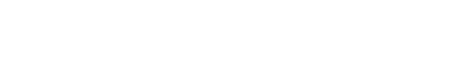 Marktlink Capital logo 2024, wit